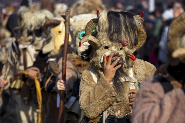 Participants take part in the International Festival of Masquerade Games Surva. The festival promotes variations of ancient Bulgarian and foreign customs and masks. Kukeri