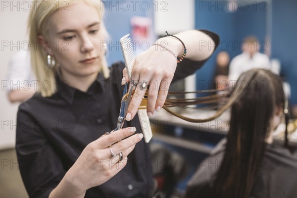 Hairdresser holding scissors and comb and makes haircut woman client. Young beautiful woman hair cut in beauty salon. Process of hair cutting with use scissors. Hairdresser trimming brown