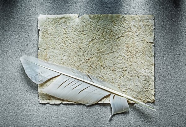 Vintage crumpled paper sheet feather on grey surface