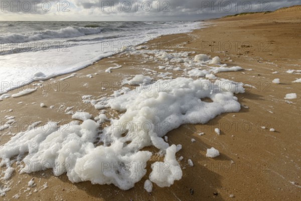 Windswept sea foam on a beach in the Atlantic Ocean near Olonne sur mer in France