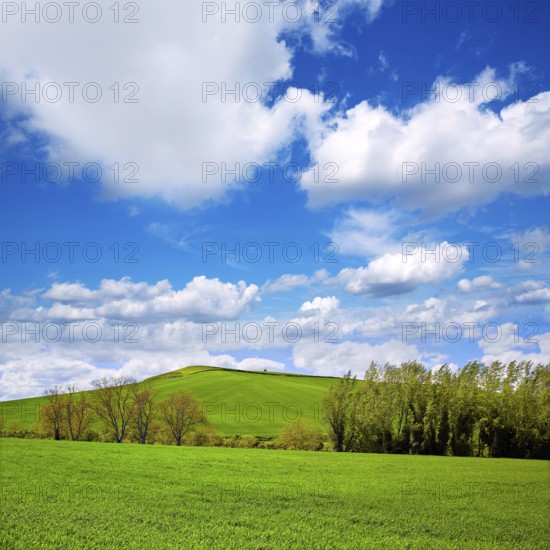 Cereal fields by The Way of Saint James in Castilla near Burgos