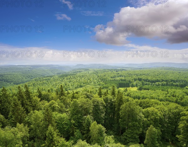 Harz mountains aerial view in Germany