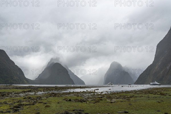 Magnificent panoramic view of Milford Sound during rainy weather, South Island of New Zealand
