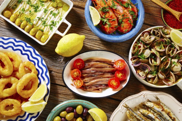 Tapas seafood clams shrimps calamari anchovies shrimps from Spain