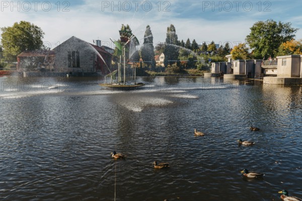 Ducks on the lake in the park. Park in the fall. Autumn trees. Wild ducks are reflected in the lake. Multi-colored bird feathers. A pond with wild ducks and drakes. A duck lake full of beautiful ducks swimming for them in city park