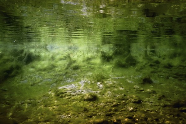 Rocks underwater on riverbed covered with green algae, water quality