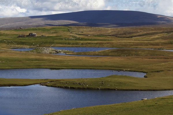 Landscape with Ronas Hill, Mainland, Shetland Islands, Scotland, United Kingdom, Europe