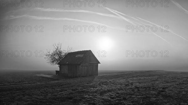 Shed in a morning mood in the misty haze