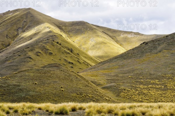 Tussocks and yellow rolling hills near Lindis Pass in Central Otago on the South Island of New Zealand