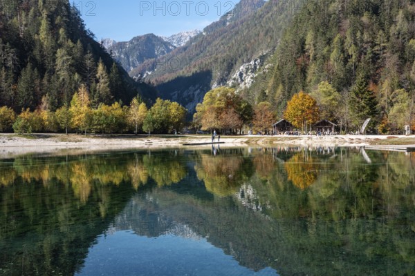 Scenic autumn forest at Crystal Lake in the Julian Alps, Slovenia, Europe