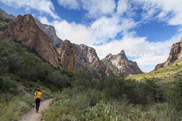 A hiker walking thtough the mountains of Big Bend National Park, USA, North America