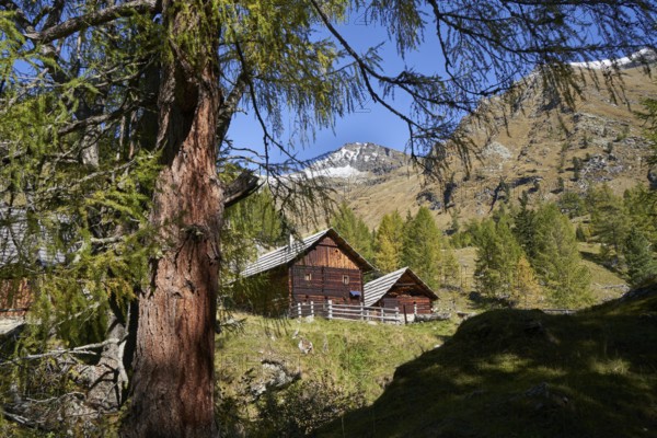 Mitterbergerhütte, Perschitz, Malta Valley, Hohe Tauern National Park, Carinthia, Austria, Europe