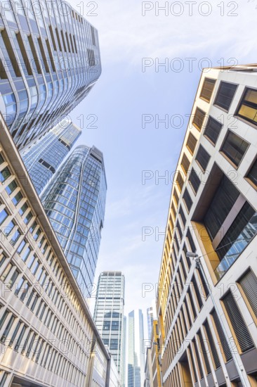 Look up in the morning in the middle of the skyline. Tower blocks and modern glass fronts at sunrise. Nice overview of the skyscrapers and their surroundings. Frankfurt am Main, Hesse, Germany, Europe