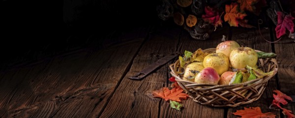 Fresh and delicious organic apples in a basket