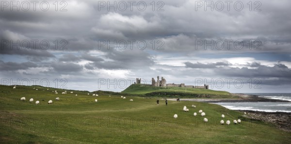 The ruins of Dunstanburgh Castle as seen from Craster along the shoreline of The North Sea, Northumberland County, England, United Kingdom, Europe