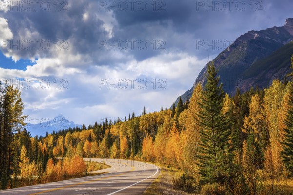 Canada, Rocky Mountains. Highway in Banff National Park. Mountains and colorful autumn forest illuminated by the sunset, North America