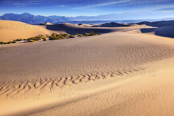 Thin waves on the sand in Mesquite Flat Sand Dunes. Bright sunny morning in a picturesque part of Death Valley, USA, North America