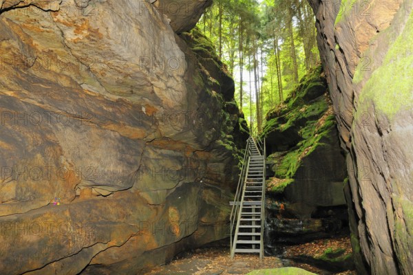 Devil's chamber, in Uttewalder Grund, Saxon Switzerland