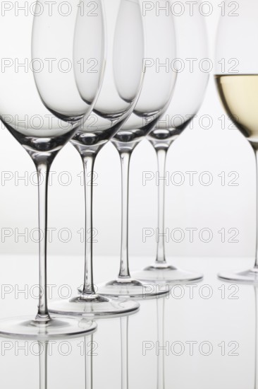 Five glasses of wine and on the white background