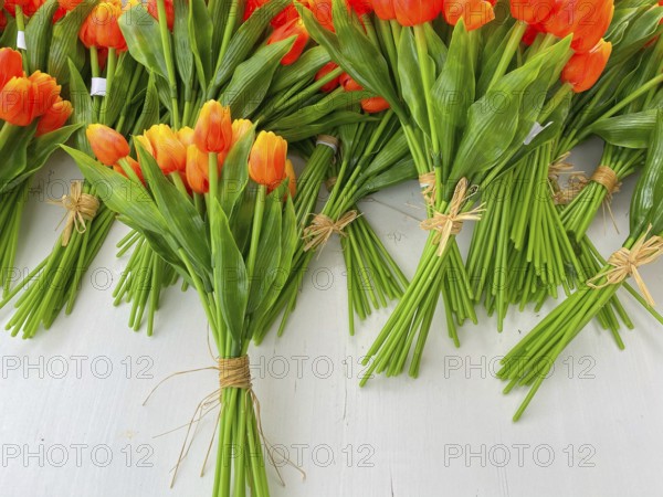 Wooden tulips in the shop in Volendam. Volendam is a town in North Holland, 20 kilometres north of Amsterdam. Sometimes called The pearl of the Zuiderzee