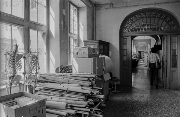 Germany, Berlin, 04.09.1991, grammar school in Dunckerstraße, school corridor with skeletons, Europe
