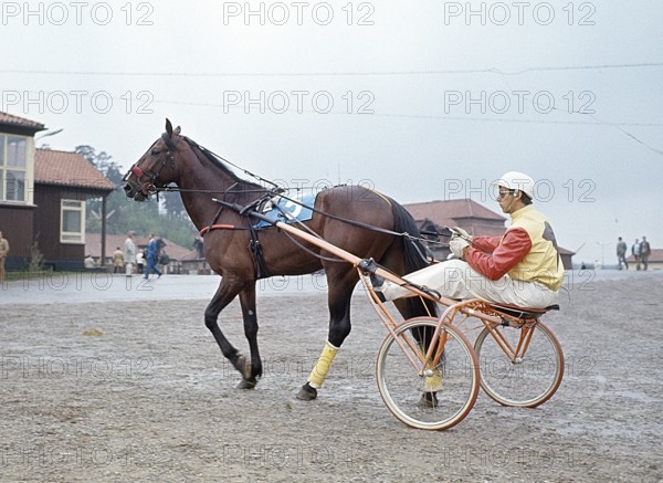 Olle Elfstrand. Swedish trotting trainer and jockey. During his career he has managed the feat of winning over 2000 races as a jockey. Here in the sulky with the trotting horse Lyon that he trained for most of his racing career. Lyon was selected as Horse of the Year three times and became the first Swedish-born trotting horse to reach a million swedish crowns in prize money. 1972 ref BV9