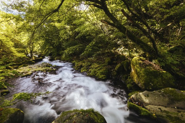 The magnificent Tateshina Otaki Falls on the famous Venus Line road, famous as a scenic driving route in Japan