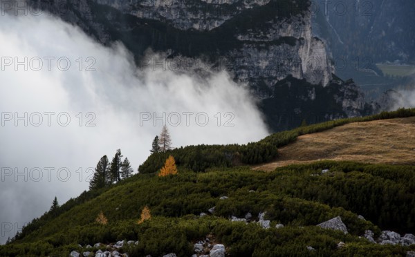 Mountain landscape with fog, late in the evening of the picturesque Dolomites at Tre Cime hiking path area in South Tyrol in Italy