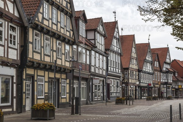 The street with historical half-timbered houses in the old city of Celle, Germany, Europe