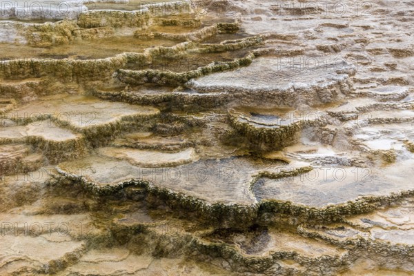 Scenic lifeless calcium terraces at Mammoth Hot Springs, Yellowstone National Park, USA, North America