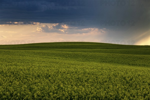 Prairie Storm Clouds Canada Saskatchewan Dramatic Summer