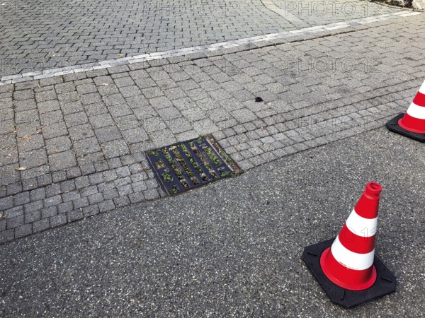 Inlet shaft for road drainage blocked by soil