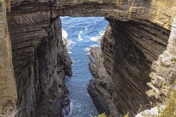 Tasman Arch has been created by the wind and waves for millions of years, Eaglehawk Neck, Tasmania, Australia, Oceania
