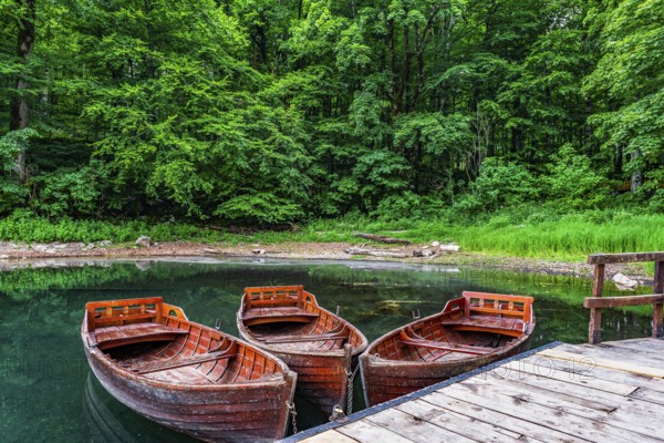 Old wooden boats on Biogradskoe lake in the forest of Montenegro