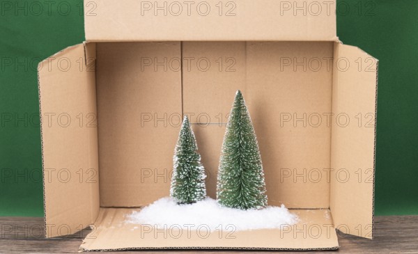 The photo shows a winter model landscape with artificial snow and snow-covered fir trees in a cardboard box