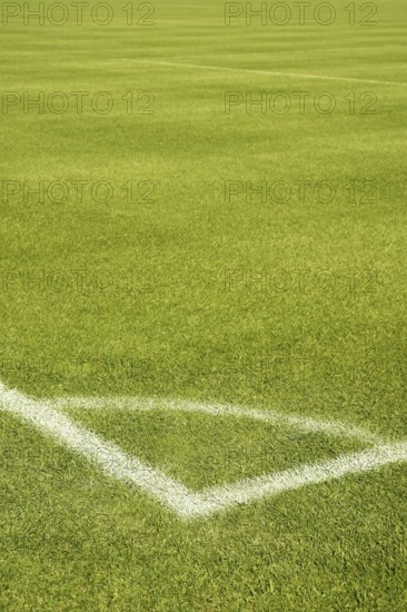 Football green grass field with corner white lines