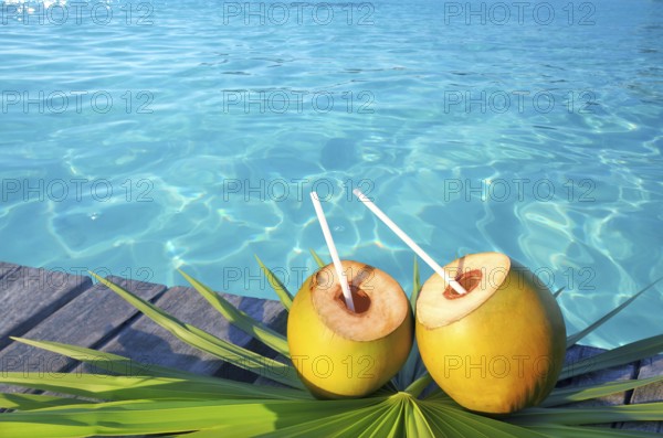 Coconuts cocktail palm tree leaf in Caribbean tropical sea