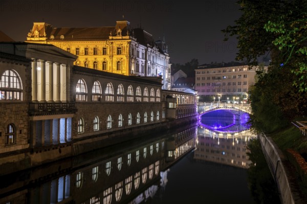 Iconic building of the central market in Ljubljana illuminated at night, the bridge of Preseren sqare in the background, Slovenia, Europe