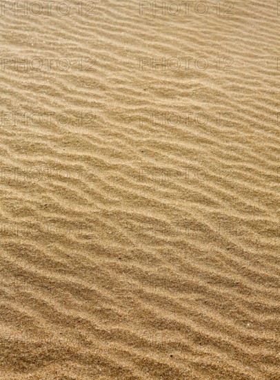 Beach sand waves warm texture pattern background