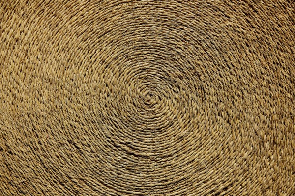 Esparto halfah grass used for crafts as cords basketry and espadrilles
