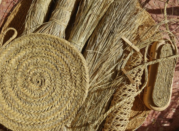 Esparto halfah grass used for crafts as cords basketry and espadrilles