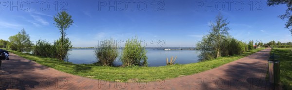 Landscape in Springtime at the Dümmer lake in Germany