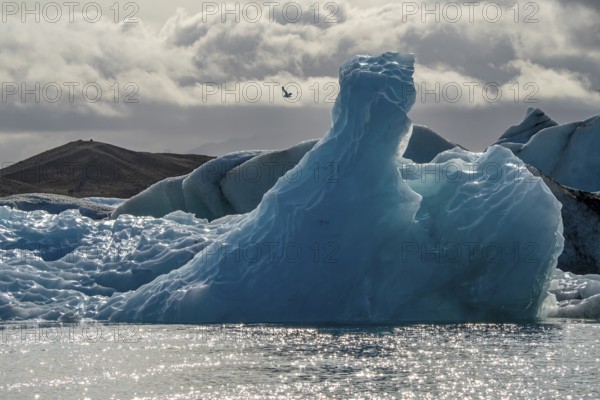 Icebergs and seagulls, Jökulsárlón, Suðurland, Iceland, Europe