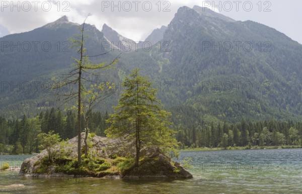 Hintersee near Ramsau, Berchtesgaden, Alps, Bavaria, National Park