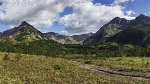 Scenery panoramic mountain landscape of Kamchatka Peninsula: early autumn view of Mountain Range Vachkazhets with forest slopes of hills and clouds in blue sky on sunny day. Eurasia, Russian Far East, Kamchatka Region