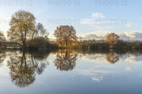 Trees reflected in a flooded meadow after heavy rains. Autumn landscape. Bas-Rhin, Alsace, Grand Est, France, Europe