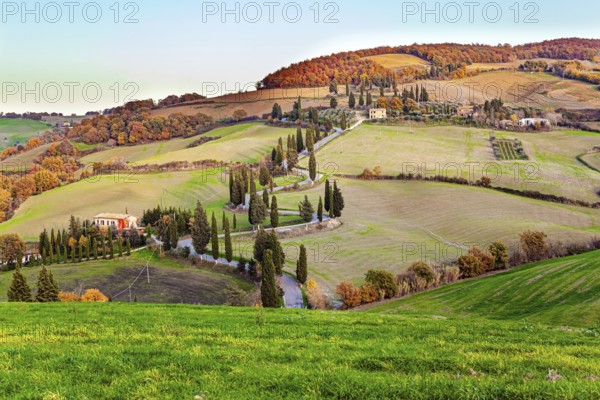 Italy. Sunset. Slender cypress trees adorn and frame the roads. Wonderful warm sunny day in late autumn. Trip to a magical land was a success! Picturesque hills, gardens and vineyards of Tuscany