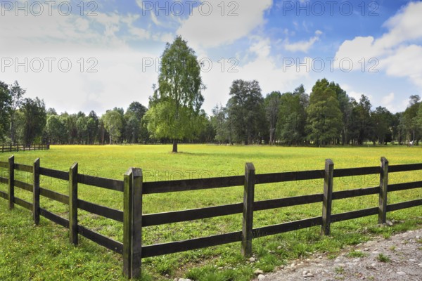 The green grassy rural field fenced with a low strong fence