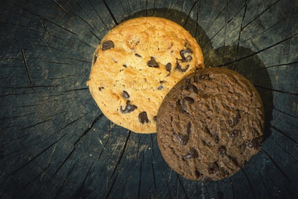 Biscuits on wood. Day light