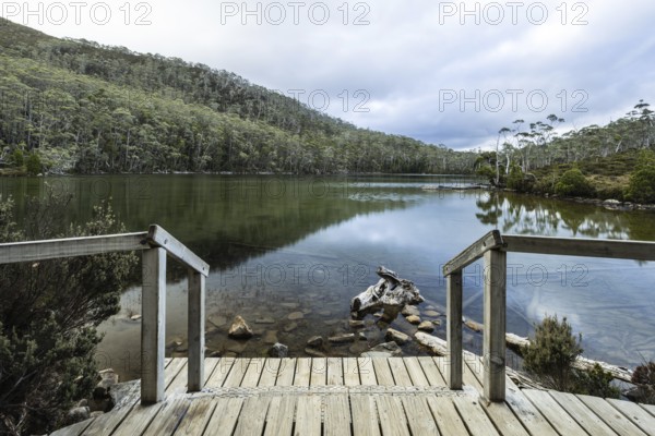 The stunning Lake Dobson on the Pandani Grove Nature Walk on a cold summer's afternoon in Tasmania, Australia, Derwent Valley, Australia, Oceania